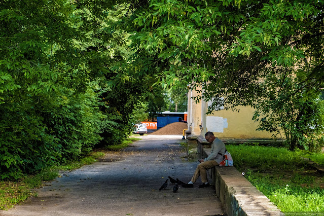 Мужчина сидит в тени дерева и смотрит в телефон