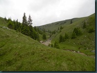 DSCN2000
