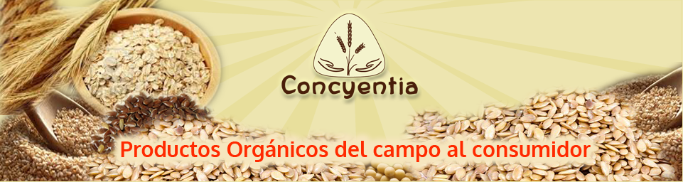 Concyentia   -   recetas organico