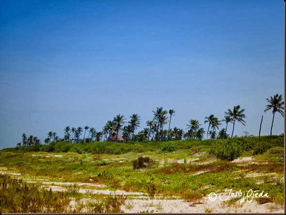 blog-1