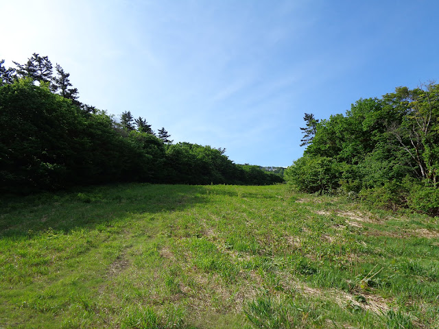 大山国際スキー場に登ります