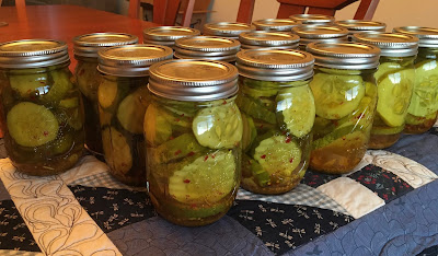 Jars of pickles