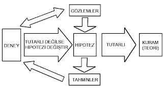 Bilimsel yöntem şeması