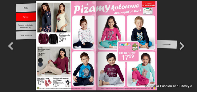 https://lidl.okazjum.pl/gazetka/gazetka-promocyjna-lidl-26-10-2015,16687/1/