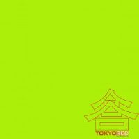 Roman Rai If You Take Care Tokyo Red Recordings