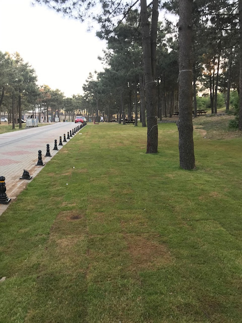 Yenişehir Mesire Alanı: واحة خضراء نابضة بالحياة في قلب إسطنبول