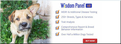 Wisdom Panel Fathers Day 2016 dog dna test discount code