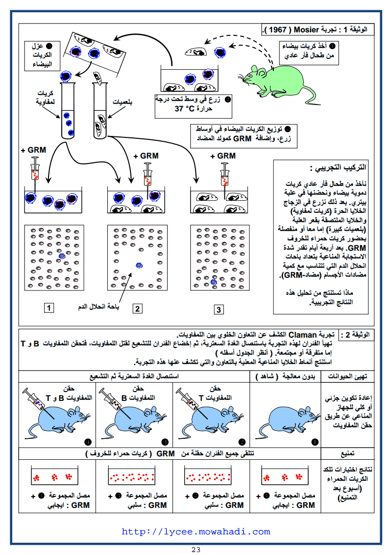 وسائل دفاع الجسم عن ما ھو ذاتي -23