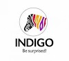 Indigo Paints IPO; To start from January 20 - Key details here