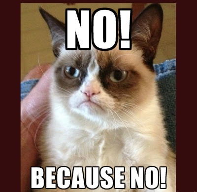 Grumpy Cat Saying No