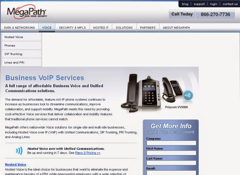 business voip service provider