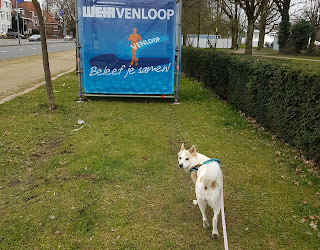 venloop