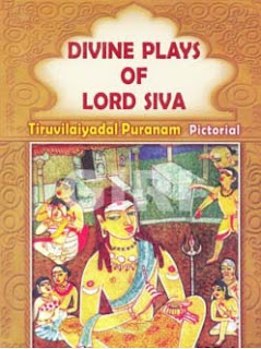 Divine Plays Of Lord Shiva