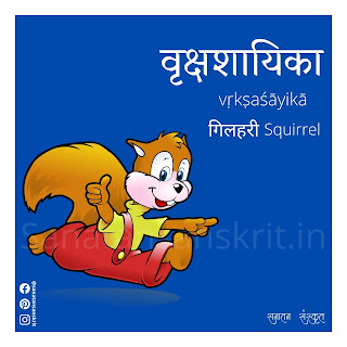 Squirrel (गिलहरी) in Sanskrit