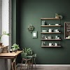 Dark Green Color Wall Paint Design