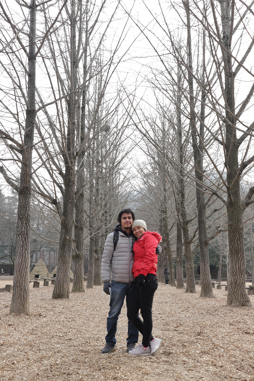 Gingko Tree Lane, Nami Island