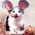 .com/img/b/R29vZ2xl/AVvXsEi5kOCe7F8CI-9vjiQ-EJLnrPEiYzcQjV7pSMNO4TYzJySOU8Keo45uqRDmEFI7huFaq4icN8frK5JaFFXuBgH4JU1trk-DXDuZcUj5XWYrCmhXOg_oHUQ7V-It-3uAW27FlQ5-Mje3Ogei/