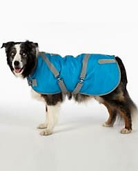 Canine Styles reflective horse-blanket coat