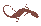 Salamander