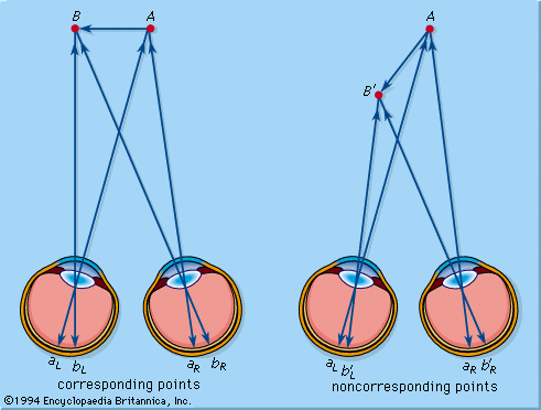 Pengertian Persepsi