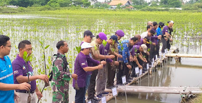 Peringati HPN 2024, PWI Kabupaten Tangerang Gandeng DLHK Tanam Mangrove Dan Pelepasan Kepiting Belangkas