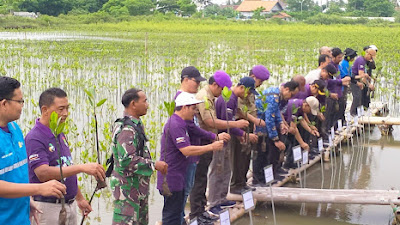 Peringati HPN 2024, PWI Kabupaten Tangerang Gandeng DLHK Tanam Mangrove Dan Pelepasan Kepiting Belangkas