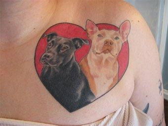 PitBull animals tattoos