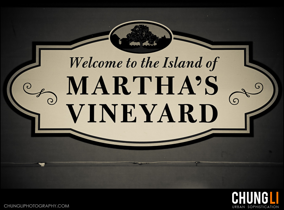 san francisco destination wedding photographer marthas vineyard boston