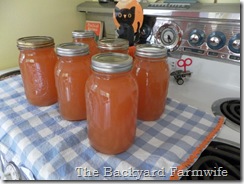 apple cider - The Backyard Farmwife