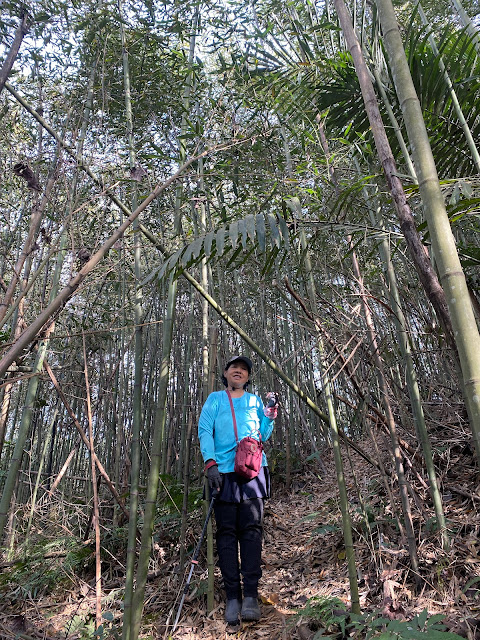 往關刀山西北峰