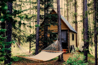 Cabane en bois construite dans la nature.