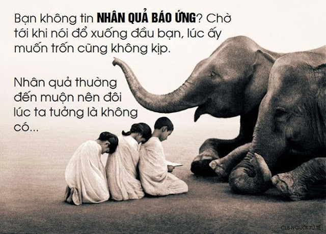 Luật nhân quả