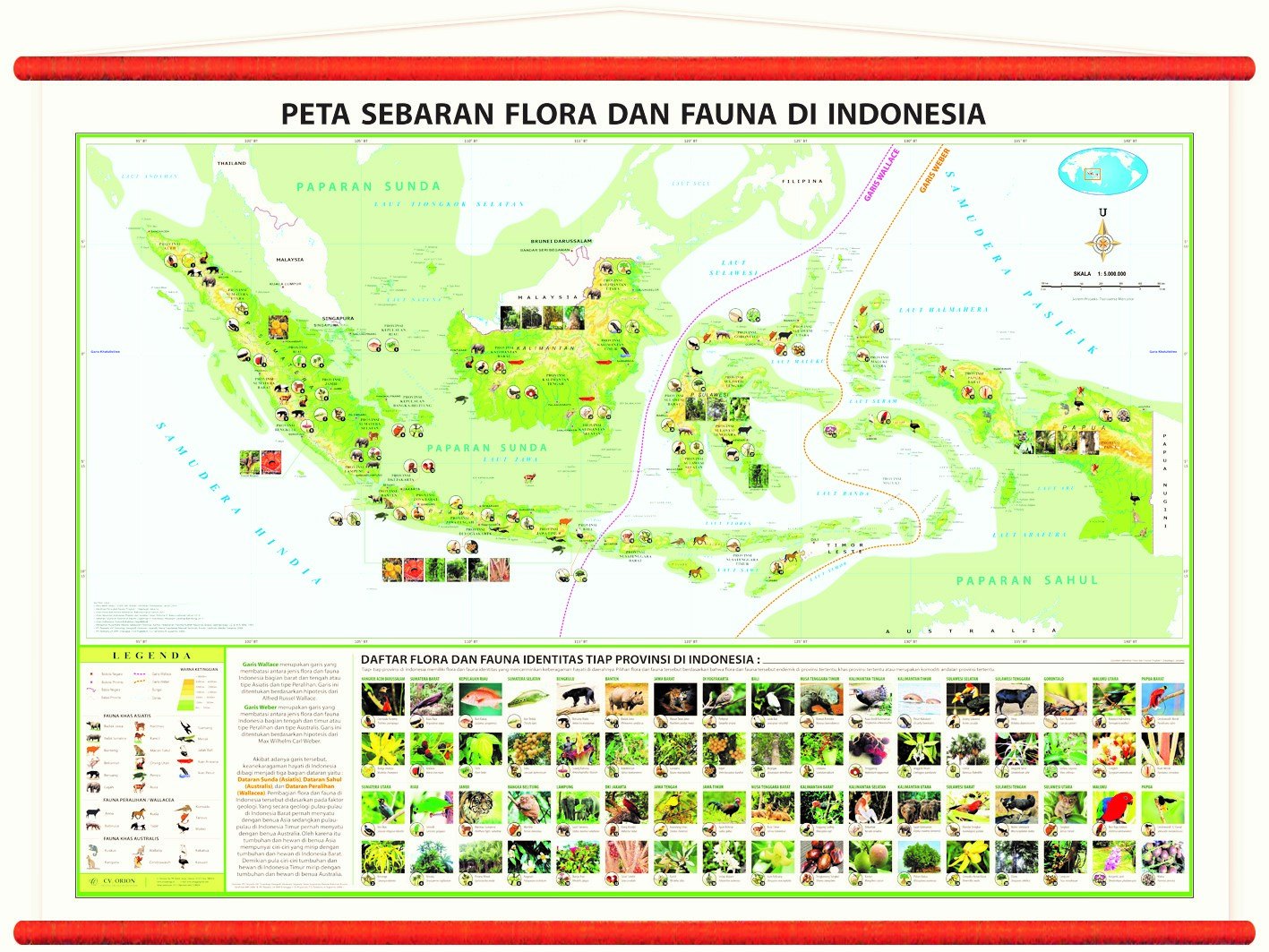 Pembagian Persebaran Flora  dan  Fauna  di  Indonesia  Materi 