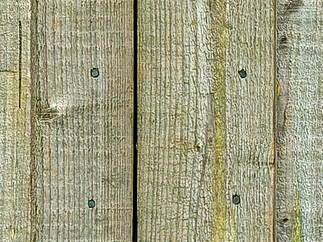 Wood woodland panels texture