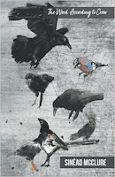 Front cover of The Word According to Crow by Sinead McClure