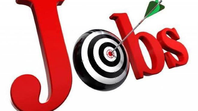 J&K State Council of Educational Research & Training (SCERT) Job Recruitment