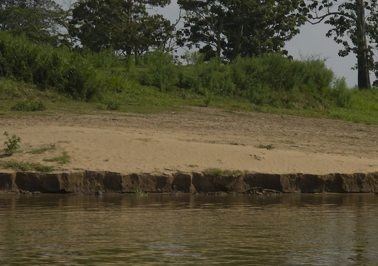 Karakteristik Tanah Alluvial Ciri Sebaran dan 