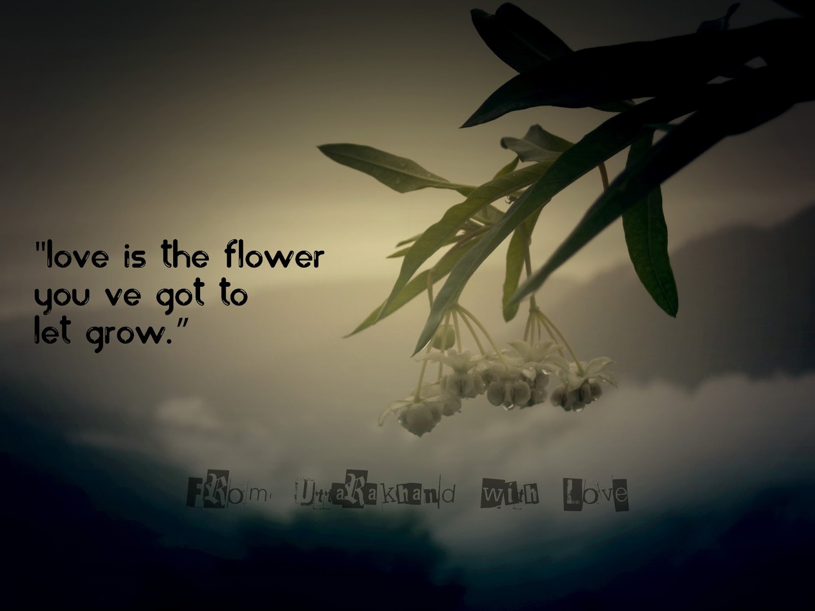 flower quotes