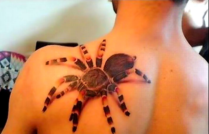 Spider tattoos