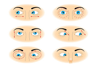 simple Eye exercise