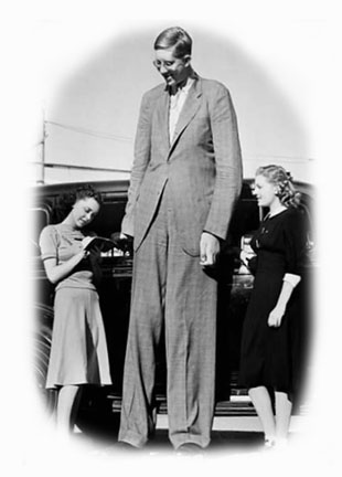 Bigfoot Evidence: Pictures of the Day: Tall People