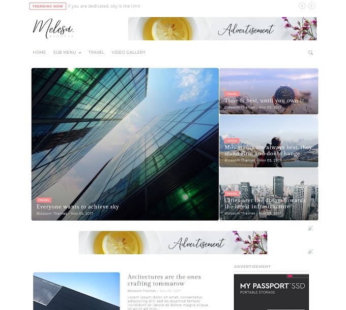 Melesa Blogger Theme  