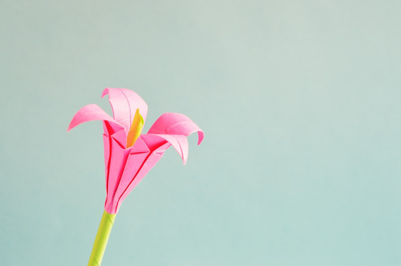 Making beautiful paper flowers