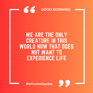 Good Morning Quotes, Wishes, Saying - wallnotesquotes - We are the only creature in this world now that does not want to experience life.