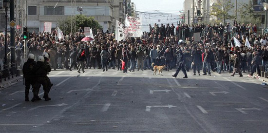 greece riot dog, greek riot dog, athens riot dog