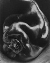 Edward Weston - Green Pepper 1930