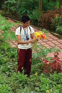 Flowers Bicol Philippines