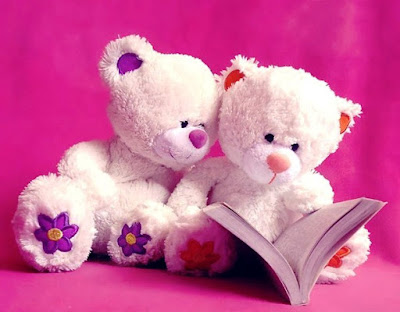 Gambar Wallpaper Boneka Beruang putih Membaca Buku