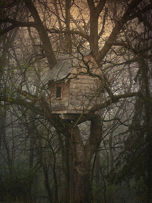 Beautiful Tree Houses ever built