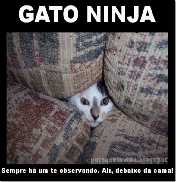 ninja1111